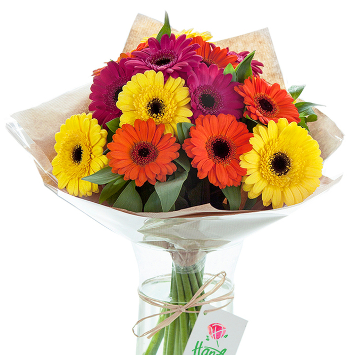 A radiant bouquet of fresh Gerbera daisies graces the scene, as if prepared by one of Primrose Hill's most skilled florists for a special occasion just off Gloucester Avenue. Artfully arranged in a sleek, cylindrical glass vase, the bouquet is a lively composition of sunshine yellow, exuberant orange, and rich, velvety magenta-each bloom unfurling its petals outward from a dramatically dark center. Wisps of deep green foliage poke through the blossoms, their softness offsetting the bold hues with a gentle nod to the greenery of Regent's Canal. The upper portion of the bouquet is encased in subtly ribbed kraft paper, its warm brown accents adding both rustic charm and down-to-earth local elegance, all secured by a twinkle of clear cellophane. Water glistens at the base, enveloping the visible stems, held together with a carefully tied piece of natural twine-a delicate touch that enhances the bouquet's artisanal feel. Attached just below the bow, a small rectangular white tag decorated with a stylized red rose illustration speaks to its status as a thoughtfully considered floral gift, whether for a birthday, milestone, or brightening up a home near Chalcot Crescent. This bouquet stands as an embodiment of creative, bespoke floral design, emblematic of flower delivery and caring gestures within the vibrant Primrose Hill community.
