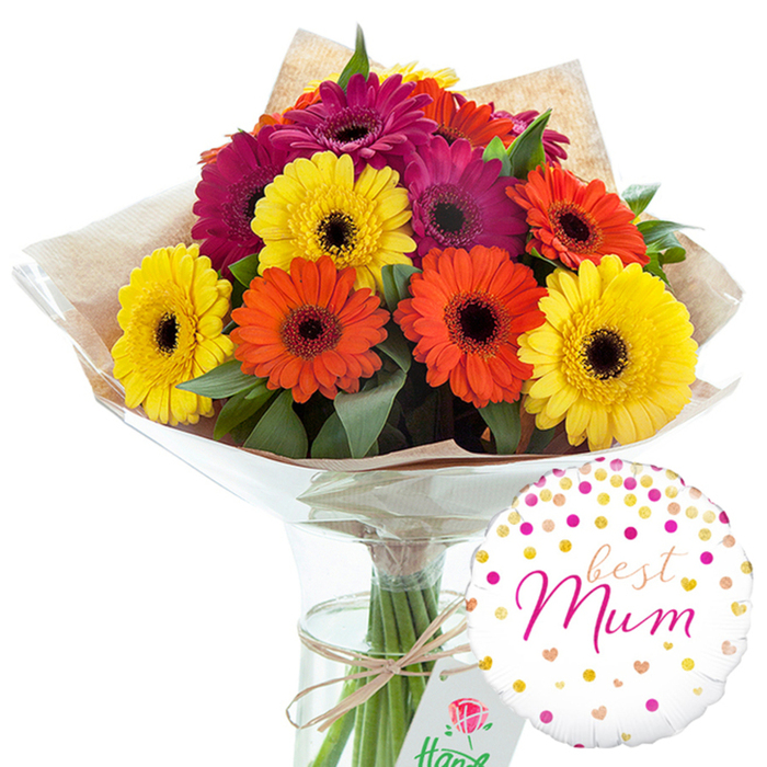 A beautifully arranged gerbera daisy bouquet is displayed in a transparent glass vase against a pure white background, capturing the feeling of a special delivery destined for a cosy home in Primrose Hill. The bouquet features an abundant collection of large, open gerbera blooms in three striking colours: bright, sunshine yellow, warm tangerine orange, and a rich, deep magenta that borders on fuchsia. Each bloom is fully unfurled, revealing symmetrical circles of flat, slightly ridged petals surrounding a deep, dark centre that draws the eye inward and adds definition. Pockets of glossy, dark green foliage sit between the blooms, their cooler tones balancing the vibrant petals and reinforcing the sense of natural freshness. The stems are carefully hand-tied and wrapped in a layer of rustic, crinkled brown kraft paper, creating soft, irregular folds that lend the design a relaxed, artisanal character well suited to the village-like atmosphere around Primrose Hill and nearby Chalk Farm. Over the kraft paper lies a smooth, shiny layer of clear cellophane, its surface catching gentle reflections and giving the bouquet a finished, gift-ready look. A length of natural twine is wrapped around the stems and tied into a simple bow, providing a subtle, earthy detail that complements the rustic paper. The bouquet stands in a tall, clear glass vase filled with water, allowing a full view of the straight, green stems aligned within. To the lower right of the arrangement, a round white helium balloon floats into the frame, decorated with a scattering of metallic gold dots, pink confetti-style circles, and tiny hearts. At its centre, the loving words "best Mum" are written in flowing pink cursive, transforming the composition into a complete and thoughtful gift, ideal for celebrating a mother's love with flowers in Primrose Hill.