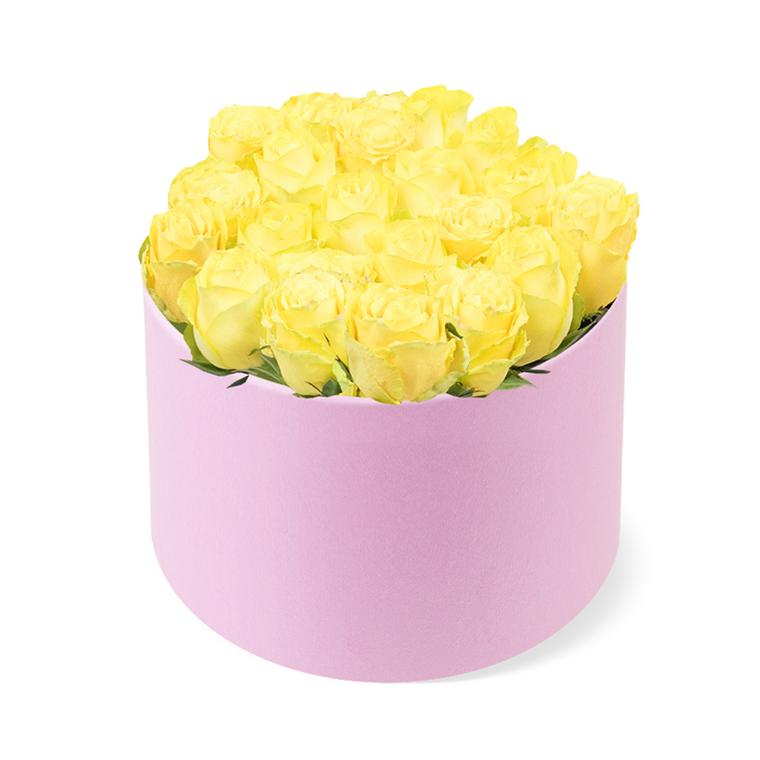 This image shows a beautifully composed floral hat box, presented in a minimalist style against a clean, white background, as if it were sitting in the soft light of a Primrose Hill living room. The container is a chic, round box in a delicate pastel pink, with a smooth, matte finish that resembles velvet or suede, inviting the sense of touch even though only the eyes can reach it. The shade of pink is quiet and sophisticated, a subtle frame that allows the contents to shine. Nestled within, roughly two dozen yellow roses are arranged in a lush, domed cluster that rises just above the rim. Each rose is meticulously positioned, their velvety petals layered in tight spirals, forming perfectly proportioned blooms that crowd together without losing their individual character. The yellow hues range from buttery cream at the very centre of each blossom to brighter, lemon tones as the petals curve outward, echoing the warm glow of afternoon sun on the slopes of Primrose Hill. Occasional slivers of green foliage can be seen in the spaces between the blooms, adding depth and reminding the viewer that this is a living, breathing arrangement. The lighting in the image is soft and even, enhancing the gentle shadows that define each petal's shape without harsh contrasts. The white background ensures that nothing distracts from the interplay of colours and textures. Emotionally, the arrangement feels bright, optimistic, and affectionate, suited to celebrations such as birthdays, new beginnings, or heartfelt thank-yous. It is easy to imagine this hat box of yellow roses delivered to a doorstep near Regent's Park Road or adorning a breakfast nook overlooking the tree-lined streets of Primrose Hill, bringing an instant uplift to the space.